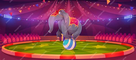 Circus Cartoon Animals