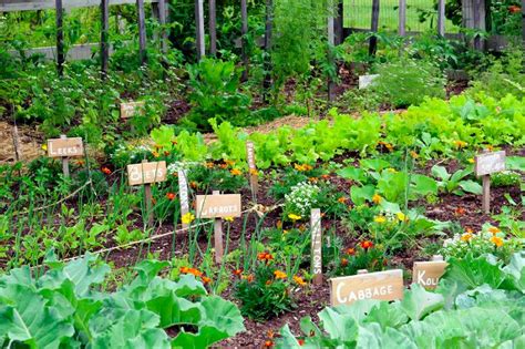 Vegetable Gardening For A Resilient Community At Advanced Gardener ...