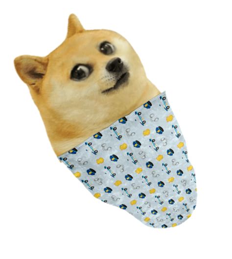 Doge PNG Transparent Images | PNG All