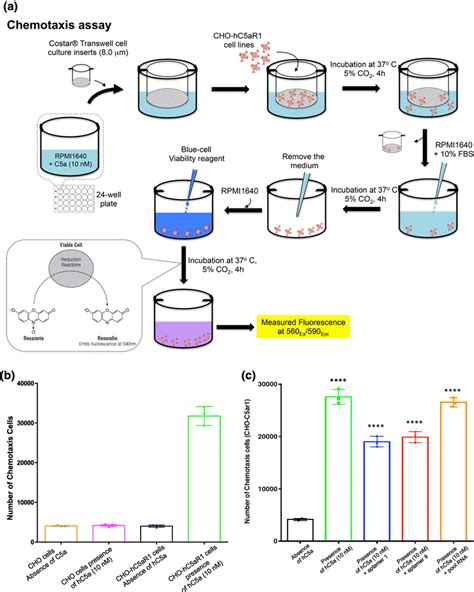 Chemotaxis assays in the presence or absence of selected aptamers. a ...