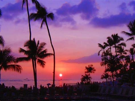 Purple Sunset Hawaii Beach Wallpapers - 4k, HD Purple Sunset Hawaii ...