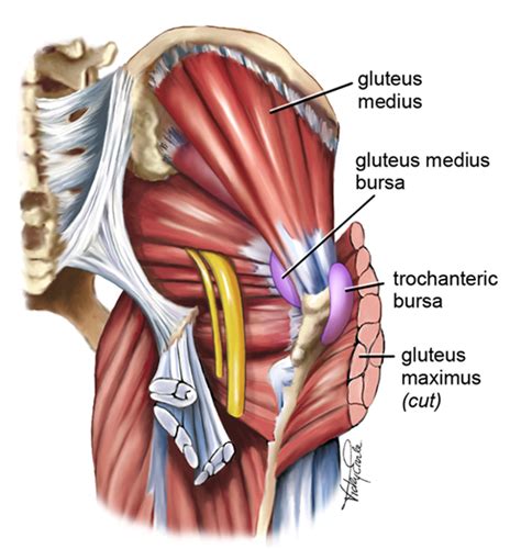 September 2019 - How to Fix your Lateral Hip Pain - Motion Health