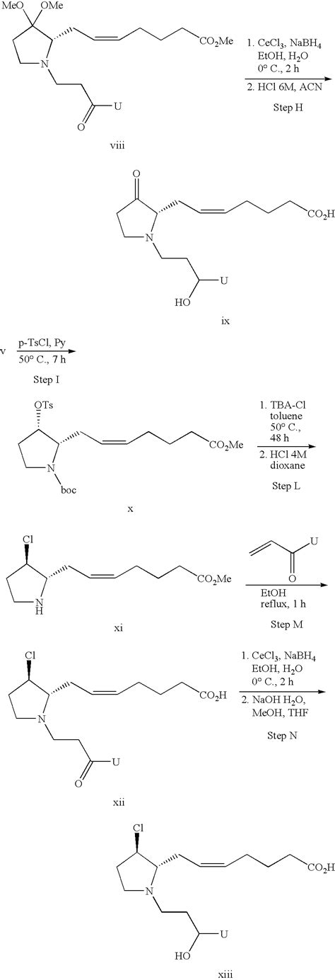 US20090292000A1 - Pyrrolidine derivatives as prostaglandin modulators ...