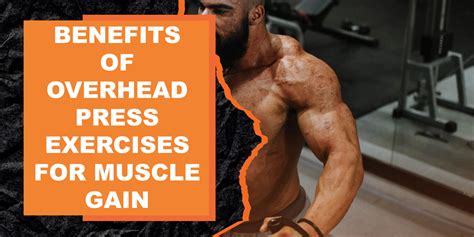 The Benefits of Overhead Press Exercises for Strength and Muscle Gain ...