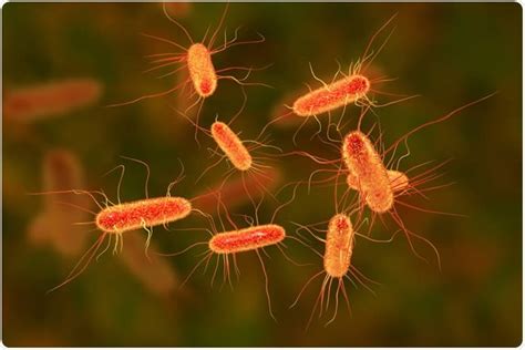 Multistate E. coli outbreak says CDC