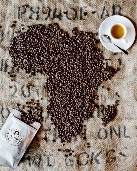 Best Coffee Brands from Ethiopia | Ethiopian coffee, Coffee branding, Coffee varieties