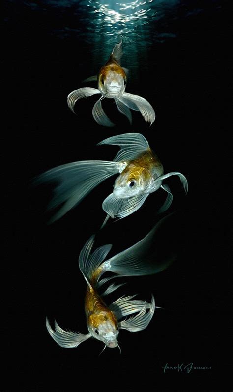 Golden Butterfly Koi Painting by Frank Bonnici