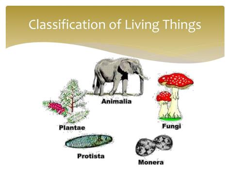 PPT - Classification of Living Things PowerPoint Presentation, free ...