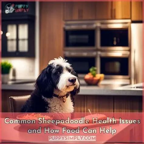 The Best Dog Food for Sheepadoodles: Top Picks