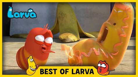 Ấu Trùng Tinh Nghịch LARVA Tập 21 - OVuiNhi