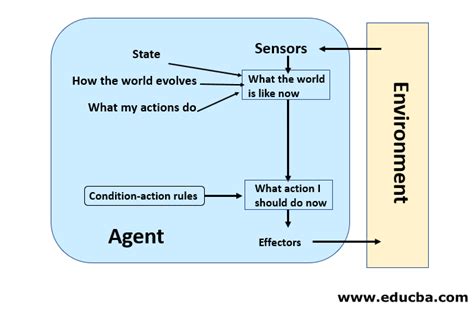 Agents in Artificial Intelligence | Understanding How Agents Should Act