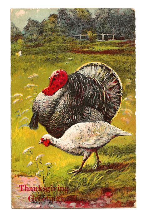 Antique Images: Printable Thanksgiving Greeting with Turkey Digital Download of Holiday Clip Art
