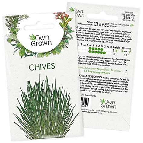 Growing Chives UK | Chive Care & Harvesting Guide - Herb Expert