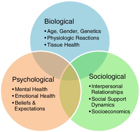 The Biopsychosocial Model and Why it's Important in Our Practice - Perth Wellness