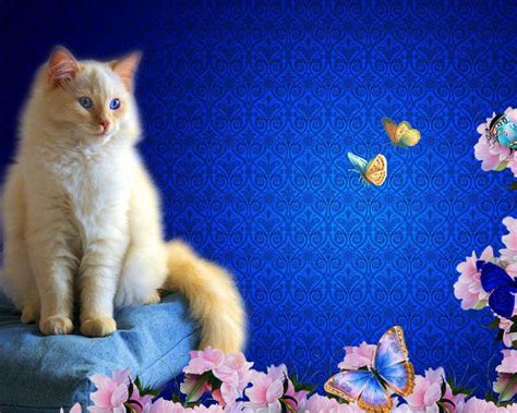 PixLith - Cat Butterfly Wallpaper