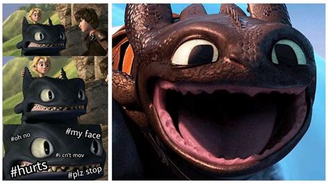 How To Train Your Dragon Memes Httyd Memes How Train Your Dragon ...