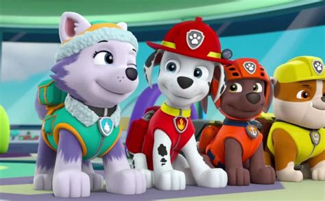 Marshall and Everest - PAW Patrol - Щенячий патруль фото (40131069 ...