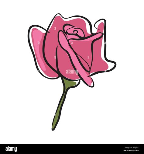 Rose drawing hi-res stock photography and images - Alamy