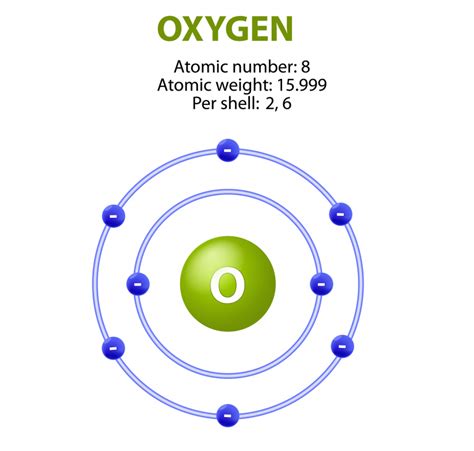 Why Do We Need Oxygen and What Does It Do in the Body?