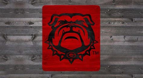 Georgia Bulldog UGA Face Stencil Kit - The Tailgater GAOOS-303 | U ...