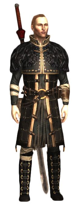 Anders Dragon Age 2 render by micro5797 on DeviantArt