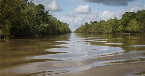 The Atchafalaya River Basin