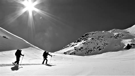 Snow in Black & White Photo Challenge | Black and white landscape, Black and white, Winter images