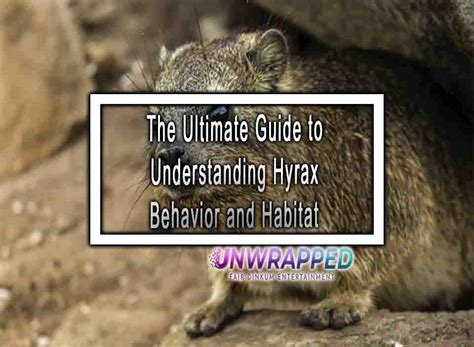 The Ultimate Guide to Understanding Hyrax Behavior and Habitat