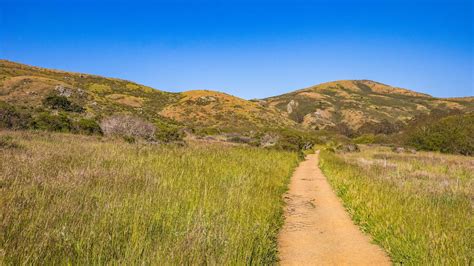 Brown Dirt Road in Between Green Grass Field · Free Stock Photo