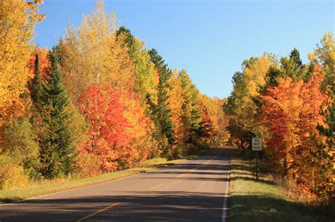 Nomadic Newfies: Fall Color in the Porcupine Mountains