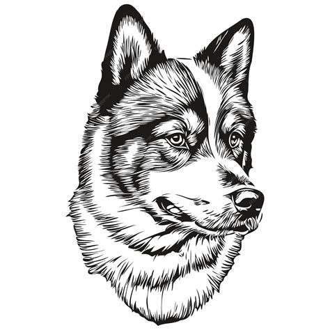 Premium Vector | Akita dog realistic pet illustration hand drawing face black and white vector ...