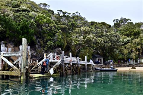 The Modern Postcard Travel Blog Ulva Island: Exploring New Zealand's ...