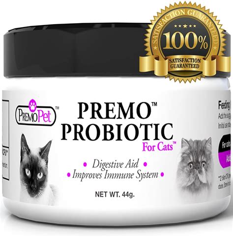 Best Probiotics for Cats - [TOP-10] Best Cat Probiotics