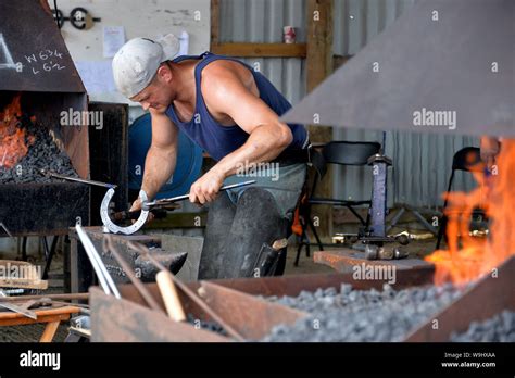 South of England Show, Ardingly 209 Stock Photo - Alamy