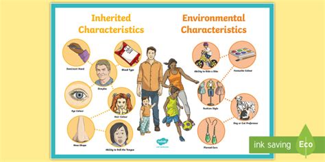 Inherited Trait Examples