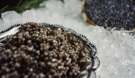 Sterlet Caviar | Local Caviar From Russia, Eastern Europe