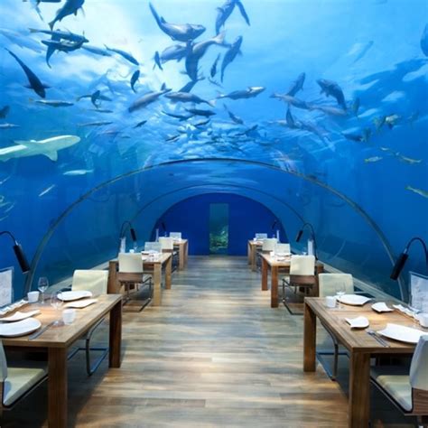 Conrad-Maldives-Underwater-Restaurant | Freedify