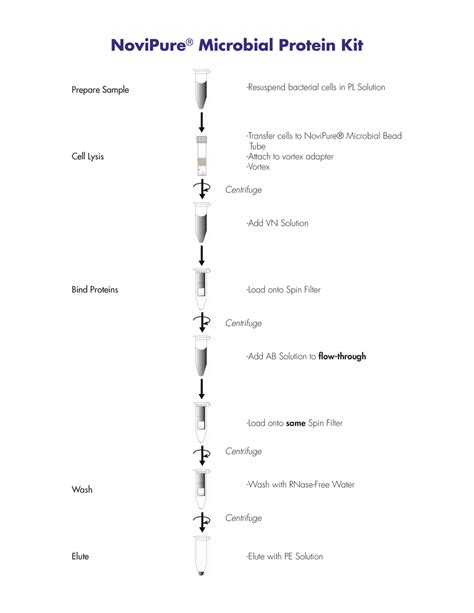 Flowchart of the protein extraction and purification protocol for ...