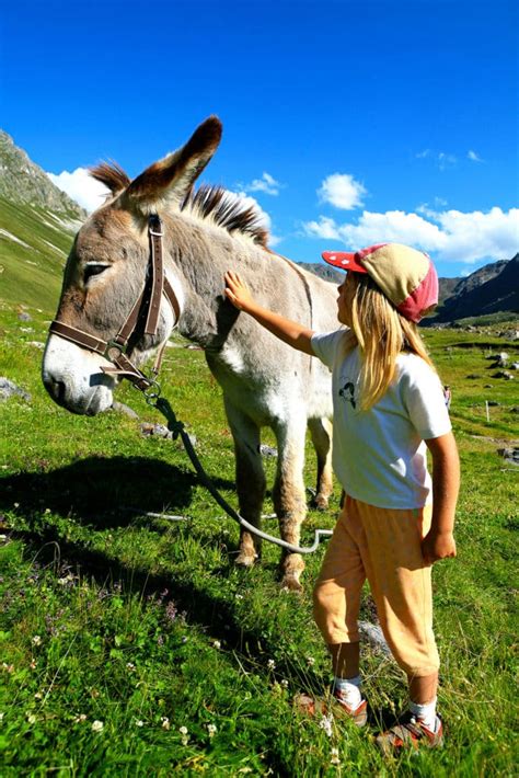 Ecrins National Park - Camping à la rencontre du soleil