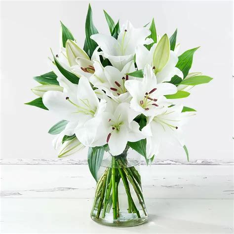 Casablanca Lily Bouquet | White Lilies | Appleyard London