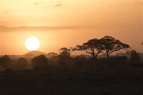 Sunset in the African Savanna in the Dry Season Against the Back Stock ...