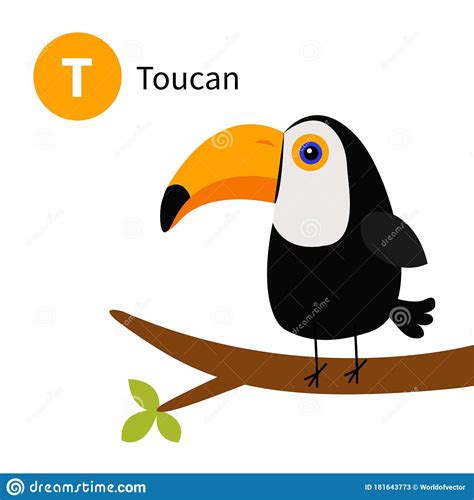 Toucan. T Letter. Cute Children Animal Alphabet In Vector. Funny | CartoonDealer.com #73902980