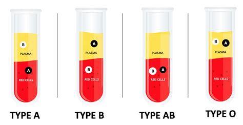 Science on Main: The History of Blood Types