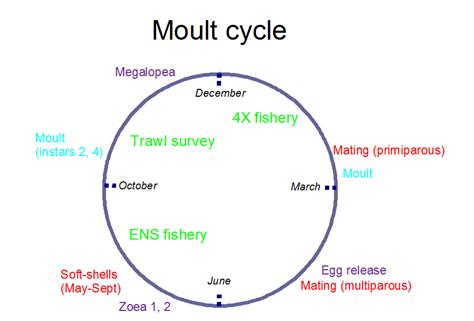 Biology