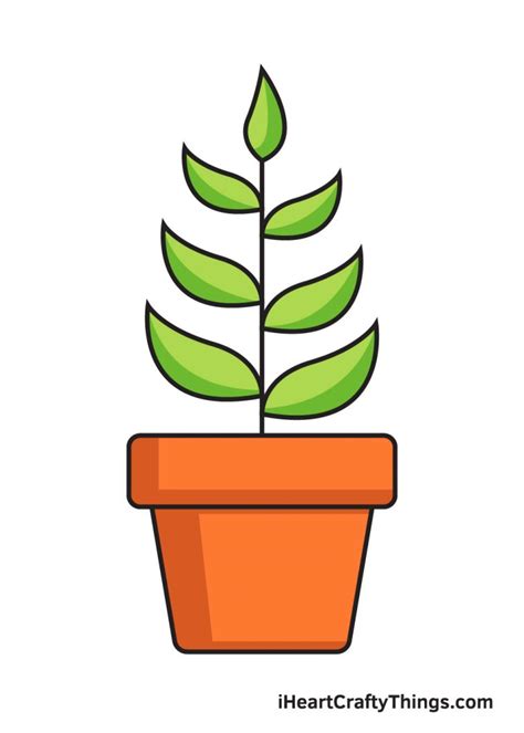 Plant Drawing - How To Draw A Plant Step By Step