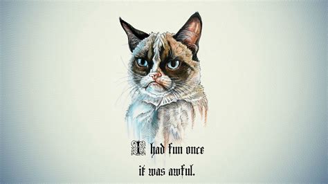 Sad Cat Meme Wallpapers - Wallpaper Cave