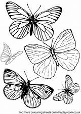 Free Printable Butterfly Colouring Pages  In The Playroom sketch template