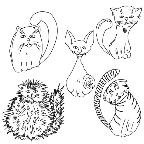 Set of five cute cats of different breeds, Simple linear animal ...