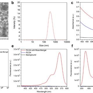 Characterization of PLGA nanoparticles. (a) Scanning electron ...