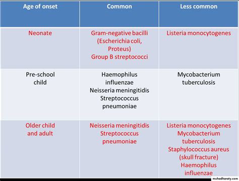 CNS INFECTIONS docx - د.بشار - Muhadharaty